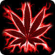 Weed Colors Live Wallpaper