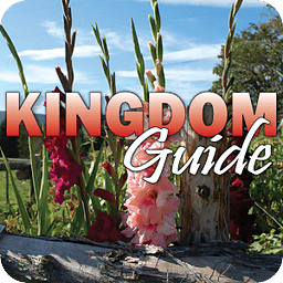 Kingdom Guide