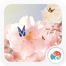 樱花祭下-梦象动态壁纸