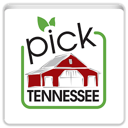 Pick Tennessee