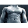Exercises Great Chest 1.01