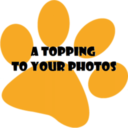 a topping to your photos