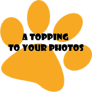 a topping to your photos