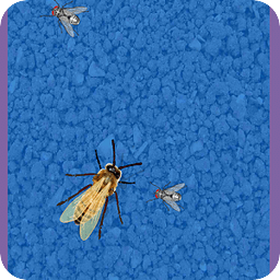 Insect Free Live Wallpaper