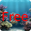 我的免费的个人水族馆