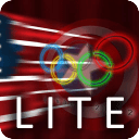 USA Flag Stylized LITE