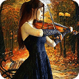 小提琴演奏壁纸