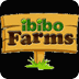 ibibo Farms