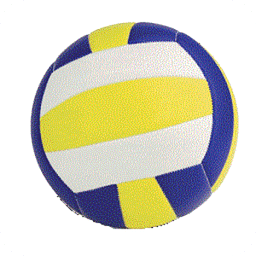 Volley Sys Free