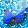 3D Butterfly III