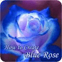 How to Create Blue Rose