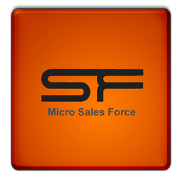 Micro SalesForce