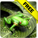Froggy Free