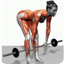 60种肌肉锻炼姿势动画