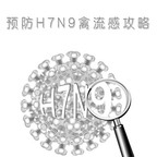 预防H7N9禽流感攻略