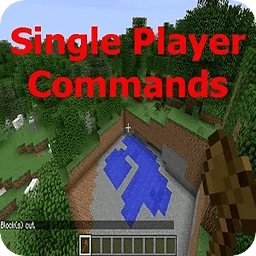 Single Player Commands M...