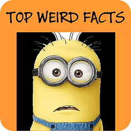 TOP Weird Facts