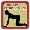 Back Pain Exercise Guide