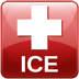 ICE Data Provider
