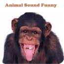 Animal Sounds Fun for kids