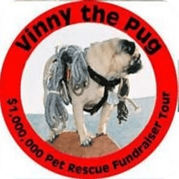 Vinny the Pug - The Hero