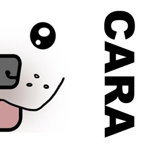 CARA: Dancing Pit Bull