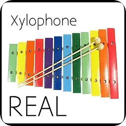 REAL Xylophone