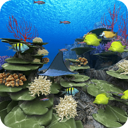 Coral Reef of Kerama Trial