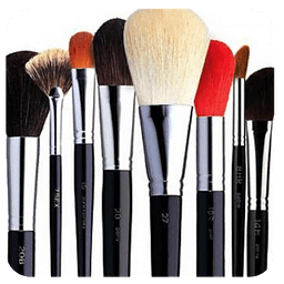 Makeup Brushes