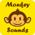 猴子的音板