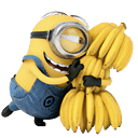 Minions History