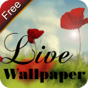 9s-LiveWonderland WallPaper