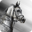Black White Horse Wallpaper HD