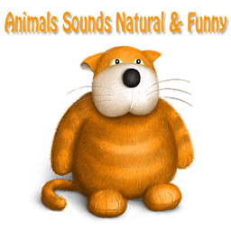 Funny Animal Sounds