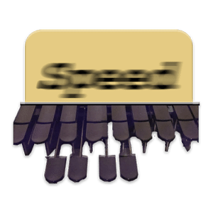 Steno Speed (typing speed)