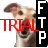 Greyhound FTP client TRIAL