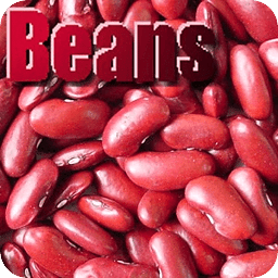 Beans