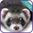 Ferret+ Free