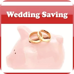 Wedding Savings Tips Gui...