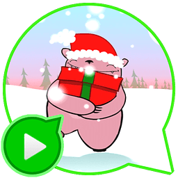 Christmas Fun Video Message