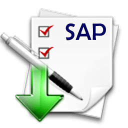 SAP asset