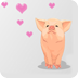 Charming pig