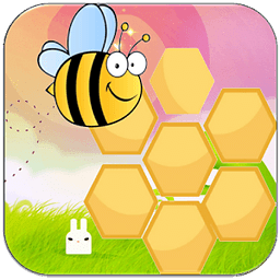 BumbleBee Race Fly Bee