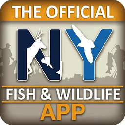 NY Fishing, Hunting &amp; Wi...