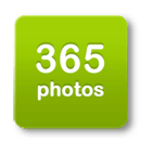 365张照片