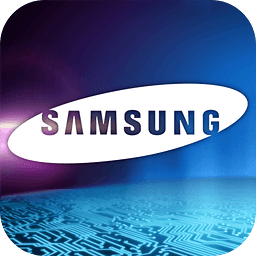 Samsung 2013 VIP