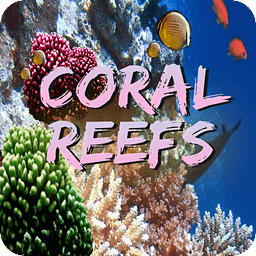 Coral Reefs