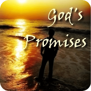 God's Promises in the Bible