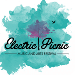 Electric Picnic 2014