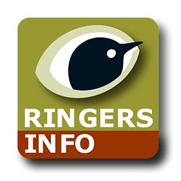 BTO Ringers Info